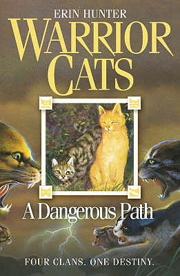Dangerous Path