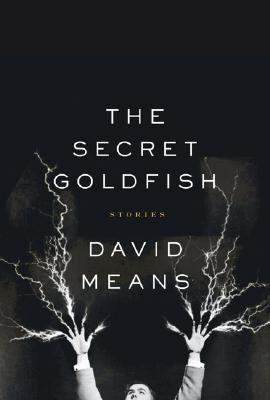 Image for The Secret Goldfish: Stories