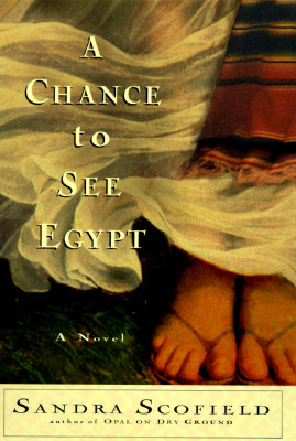 A Chance to See Egypt
