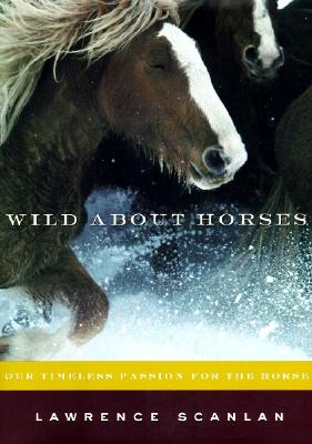WILD ABOUT HORSES: OUR TIMELESS PASSION FOR THE HORSE
