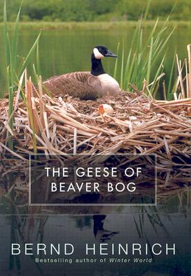 The Geese of Beaver Bog