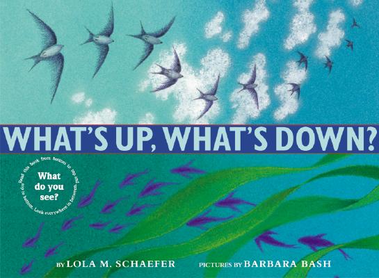 What's Up, What's Down