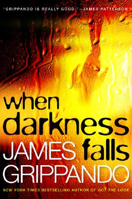 When Darkness Falls, A Jack Swyteck Novel