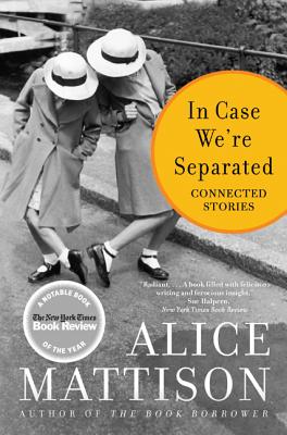 IN CASE WE'RE SEPARATED: CONNECTED STORIES