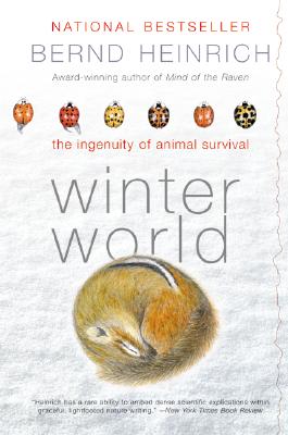 Winter World: The Ingenuity Of Animal Survival