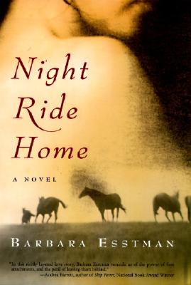 Image for Night Ride Home
