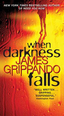 When Darkness Falls (Jack Swyteck Novel, 6)