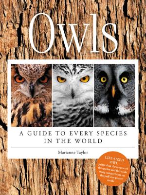 Image for Owls: A Guide to Every Species in the World