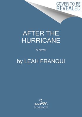 After the Hurricane: A Novel
