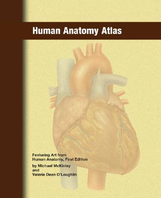 Human Anatomy Atlas