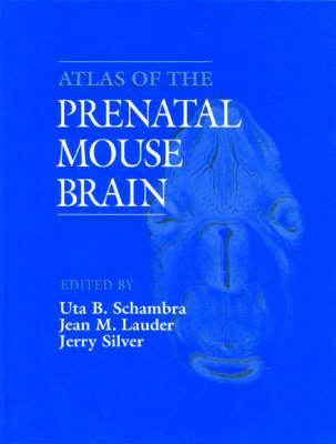 Atlas of the Prenatal Mouse Brain