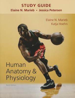 Study Guide for Human Anatomy & Physiology