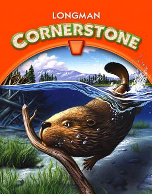 LONGMAN CORNERSTONE B