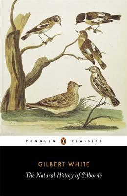 Image for The Natural History of Selborne (Penguin Classics)