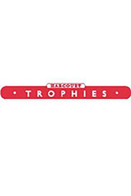 Image for Harcourt School Publishers Trophies; Harcourt School Publishers Trophies Stories and More Activity Book Grade Pre-K Harcourt School Publishers Trophies; Harcourt School Publishers Trophies Stories and More Activity Book Grade Pre-K