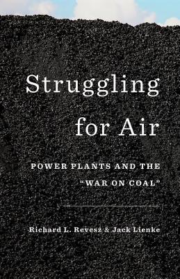 Struggling for Air: Power Plants and the 'War on Coal'