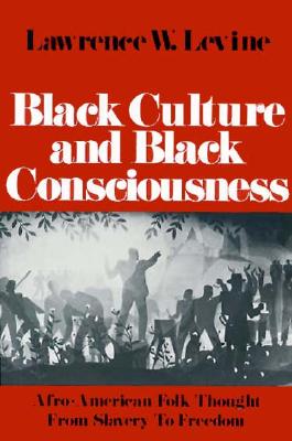 Black Culture and Black Consciousness: Afro-American Folk Thought from Slavery to Freedom (Galaxy Books)