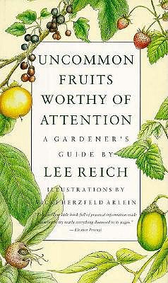 Image for Uncommon Fruits Worthy Of Attention Uncommon Fruits Worthy Of Attention