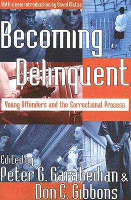 Becoming Delinquent: Young Offenders and the Correctional Process