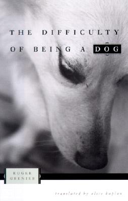 Difficulty of Being a Dog