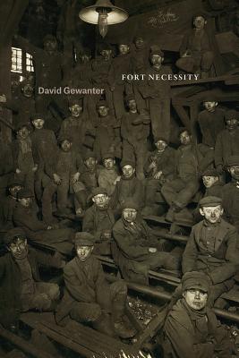 Fort Necessity (Phoenix Poets)