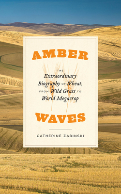 Image for Amber Waves: The Extraordinary Biography of Wheat, from Wild Grass to World Megacrop