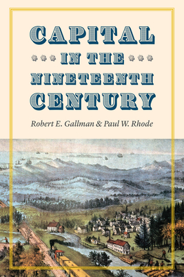 Capital in the Nineteenth Century (National Bureau of Economic Research Series on Long-Term Factors in Economic Development)