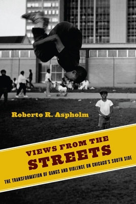 Views from the Streets: The Transformation of Gangs and Violence on Chicago's South Side (Studies in Transgression)