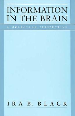 Information In the Brain