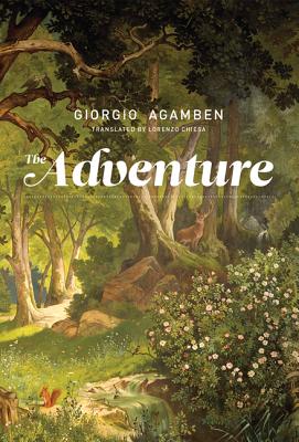 Image for The Adventure (The MIT Press)