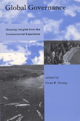 Global Governance: Drawing Insights from the Environmental Experience