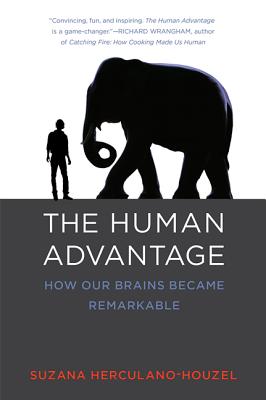 The Human Advantage: How Our Brains Became Remarkable (The MIT Press)