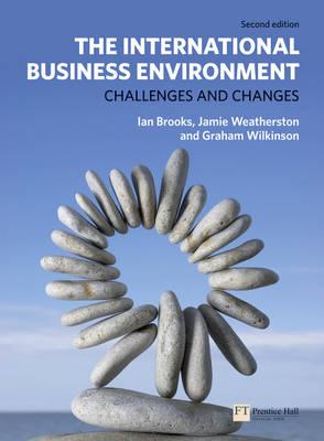 The International Business Environment: Challenges and Changes (2nd Edition)