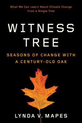 Witness Tree: Seasons of Change with a Century-Old Oak