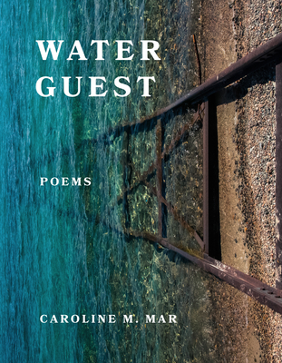 Image for Water Guest (Wisconsin Poetry Series) Water Guest (Wisconsin Poetry Series)