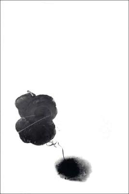 Terence Koh (Whitney Museum of American Art)