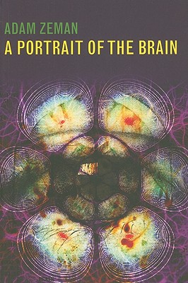 A Portrait of the Brain