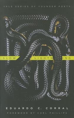 Slow Lightning (Yale Series of Younger Poets)