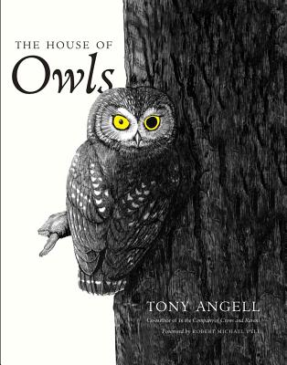 Image for The House of Owls