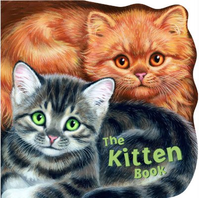 Image for The Kitten Book