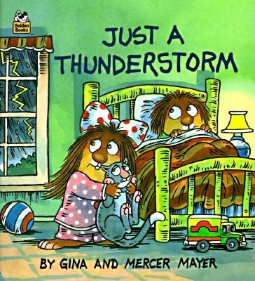Just a Thunderstorm (A Golden Little Look-Look Book)
