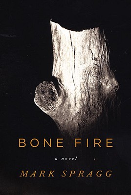 Image for Bone Fire: A novel