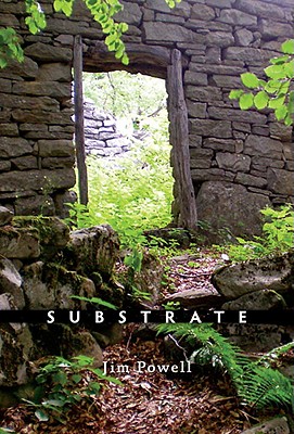 Substrate: Poems