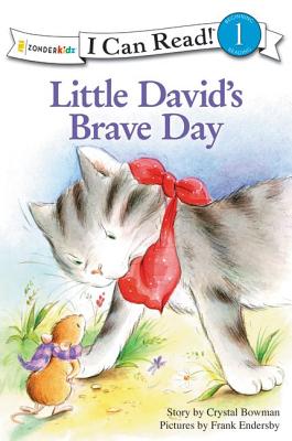 Image for Little David's Brave Day: Level 1 (I Can Read! / Little David Series)