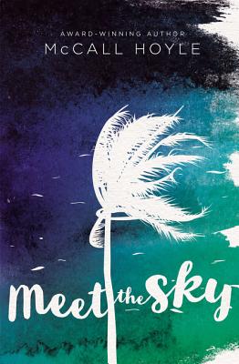 Image for Meet the Sky Meet the Sky