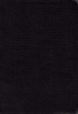 NIV Pocket Thin New Testament With Psalms & Proverbs