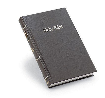 NIV Holy Bible
