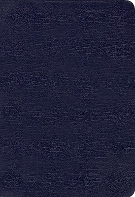 NIV Pocket Thin New Testament With Psalms & Proverbs