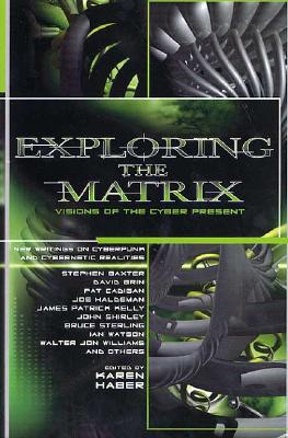 Exploring the Matrix: Visions of the Cyber Present