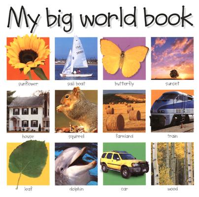 Image for My Big World Book (My Big Board Books) My Big World Book (My Big Board Books)